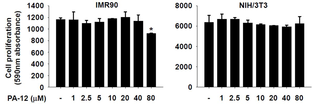 PA-12 물질 세포독성. 정상 인간 폐세포주와 마우스 섬유아 세포주에서 농도별 PA-12 물질에 의한 세포독성 측정 변화