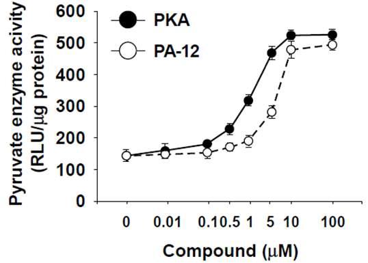 PA-12 물질에 의한 농도별 PKM2 활성도. In vitro PKM2 효소 활성 측정 방법을 이용한 농도별 PA-12 물질 및 PKM2 활성 물질 (PKA)간의 비교 분석