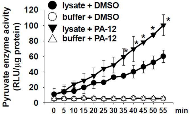 PA-12 물질에 의한 시간별 PKM2 활성도. 폐암 세포주 lysate에 PA-12 물질에 유도되는 시간별 PKM2 활성도 측정