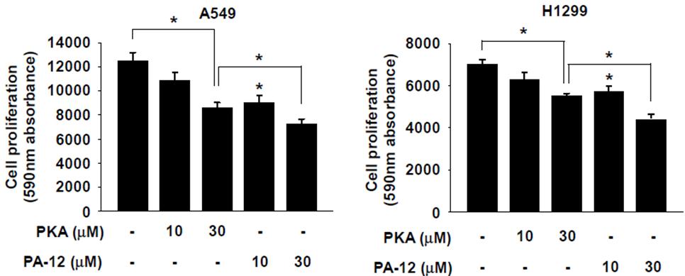 PA-12 물질과 PKA 물질 간 농도별 폐암 세포성장. 폐암 세포주에서 필수아미노산이 없는 배지에 PA-12 물질 혹은 PKA 물질 처리 후 세포성장 억제 비교분석