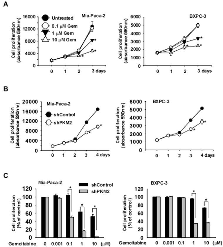 Gemcitabine 내성 세포주에 PKM2 발현감소 유도에 의한 gemcitabine 췌장암세포 성장 억제효과 증가.