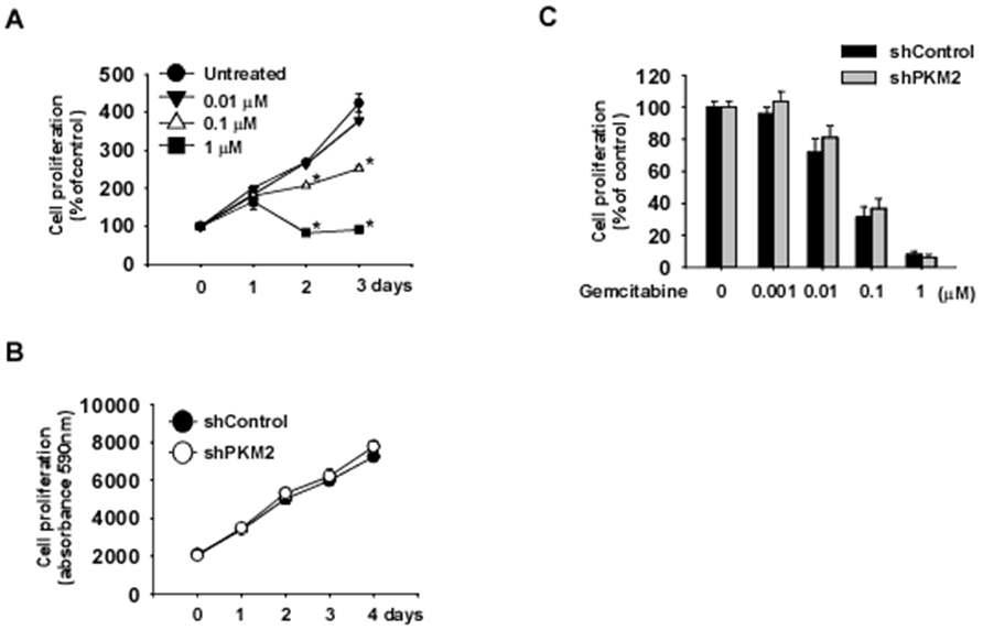 Gemcitabine 감수성 췌장암 세포주의 세포성장에 대한 PKM2 발현 감소 유도에 의한 gemcitabine의 성장억제효과.