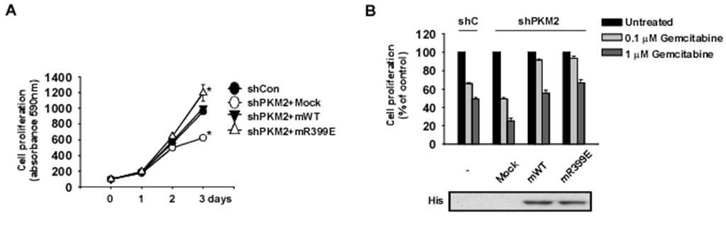 Gemcitabine 내성세포주에 PKM2 발현조절에 의한 gemcitabine 감수성 분석. (A) PKM2 발현 조절된 세포주 성장, (B) PKM2 발현 조절된 세포주에 gemcitabine 세포성장 효과