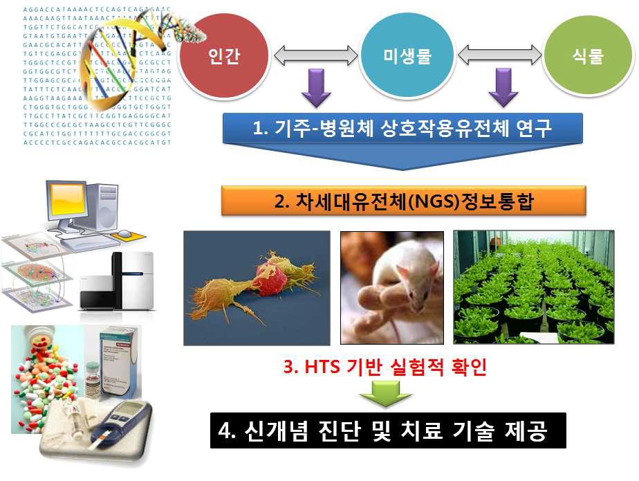 연구 추진 전략