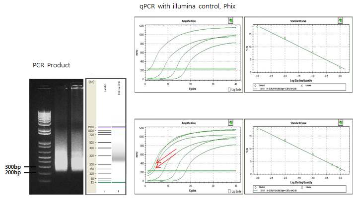 Illumina RNA-seq library 구축