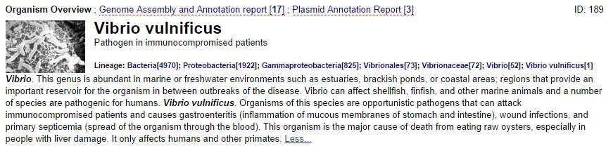 Vibrio vulificus MO6 참조서열 웹사이트