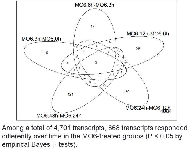 Time-course 분석에서 선택된 각 시간대별 MO6 유전자 발현 유의유전자의 venn-diagram