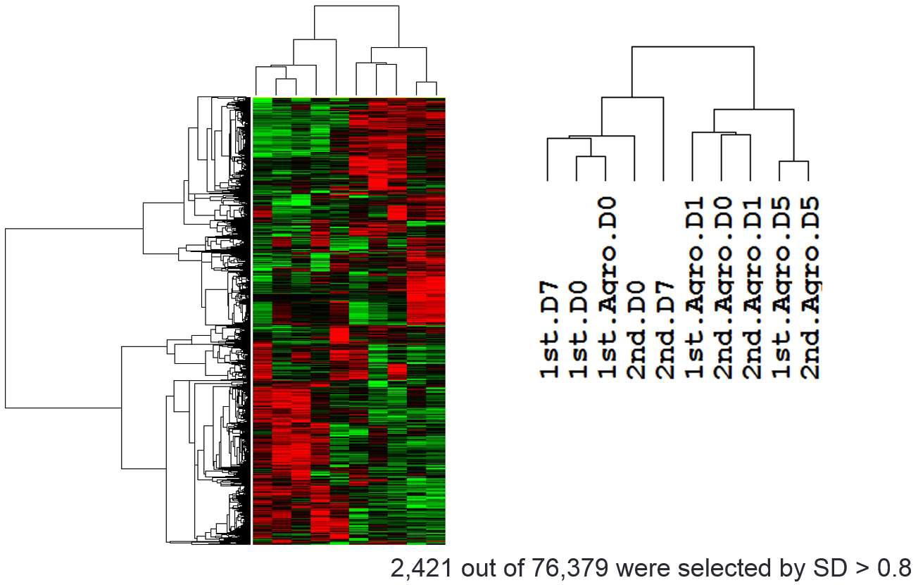 Nicotiana RNA-seq 샘플의 클러스터링 분석