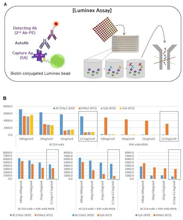 혈청 오토항체의 효과적인 검출을 위한 Luminex assay.