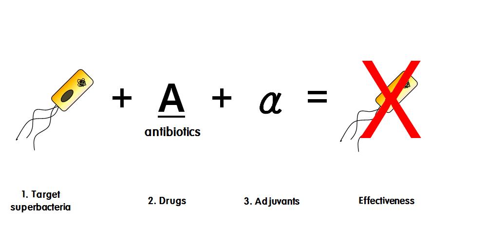 Adjuvant 개념 모식도