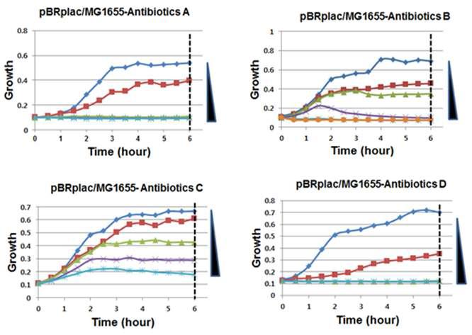 Growth kinetics 기반 MIC 결정법