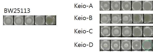 KEIO collection을 통한 예측 타겟의 검증