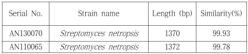AN130070의 16s rDNA sequencing 동정