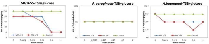 TSB+glucose 배지에서의 robin의 활성
