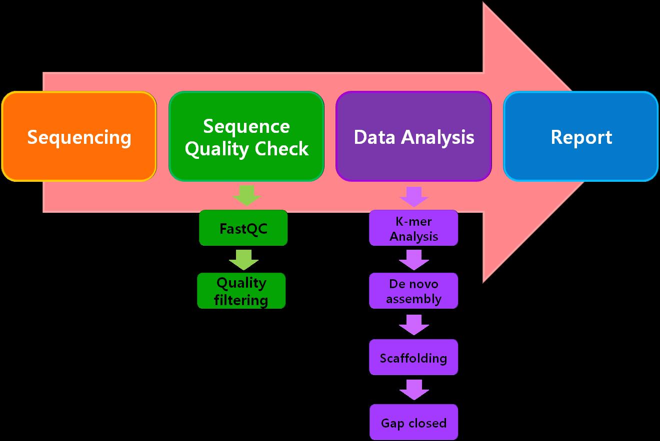 Genome sequencing 분석 전략