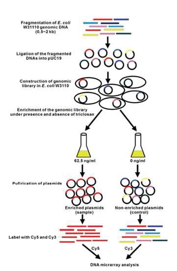 Genome library enrichment 모식도 결과