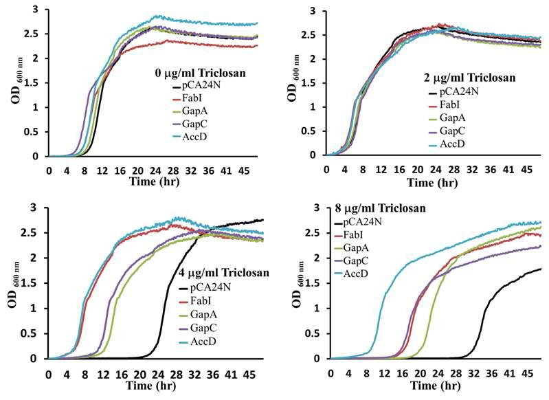 Growth curves of FabI, GapA, GapC and AccD overexpressed E. coli △imp G93V-fabI