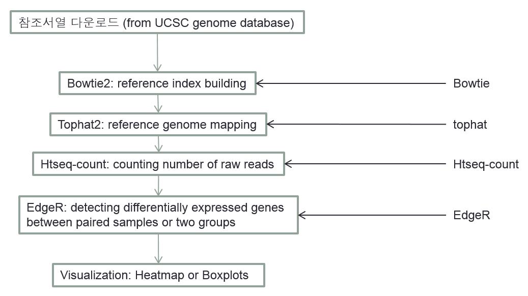 전립선암 RNA-seq 샘플의 전처리 및 유의성 검증 과정