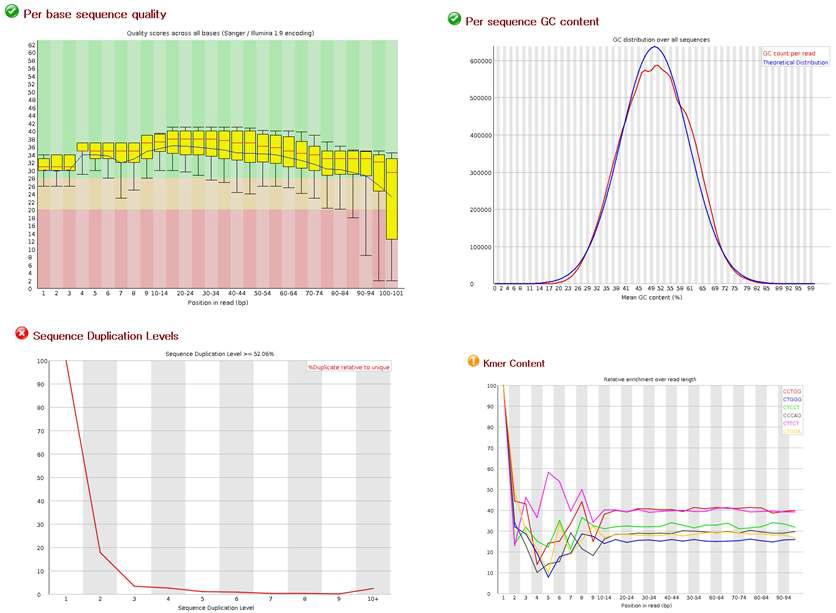 FastQC를 통한 데이터 검증 결과