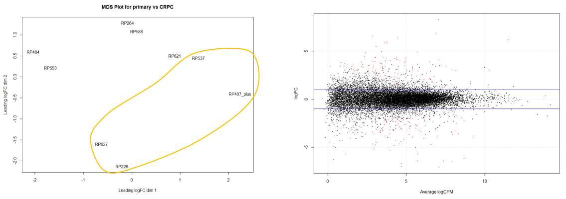 호르몬 반응성 vs. 불응성 샘플에서의 MDS 및 MA plot(노란색 타원: 호르몬 불응성 전립선암 샘플)