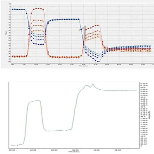 QCM를 이용한 EndoG와 FEN1의 상호작용 확인