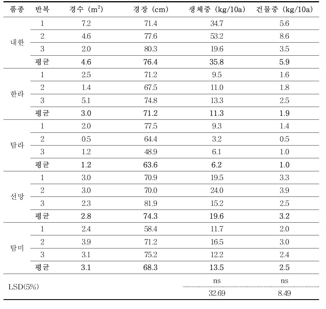 유채 품종별 생육 및 수량성