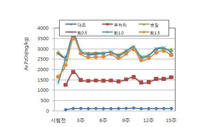 항온 처리 후 경과 일수에 따른 유효인산 함량