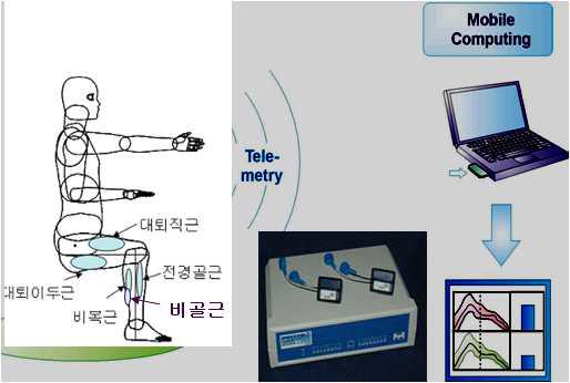 근전도 측정 시스템 개요