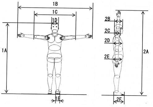 서있을 때의 체격 모델과 각부 치수 기호