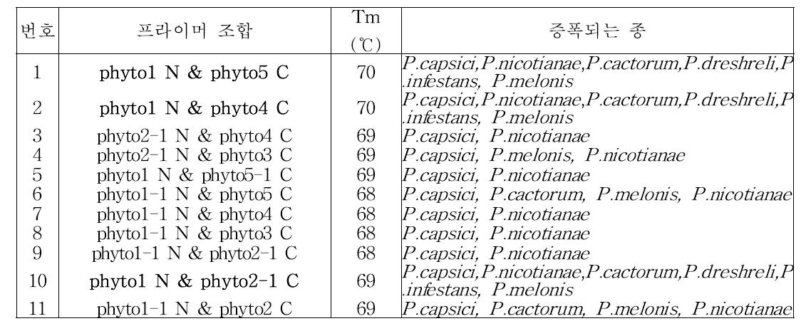 과채류 역병균 진단용 특이 프라이머 개발