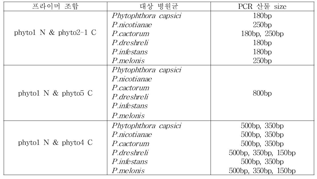 과채류 역병균 진단용 특이 프라이머 개발