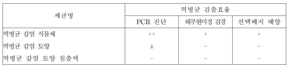 역병균 검출 효율성 비교