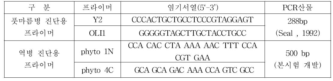 역병균과 풋마름병 동시진단용 프라이머