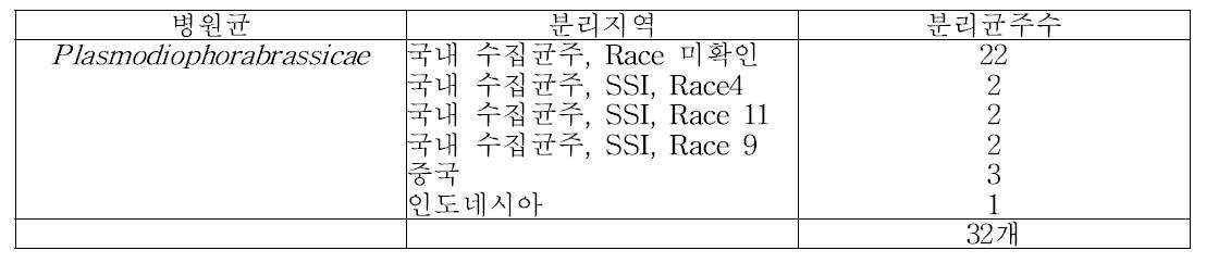 배추 뿌리혹병 진단용 균주수집 현황(’11)