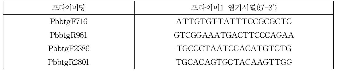 배추 뿌리혹병 진단용 프라이머 염기서열