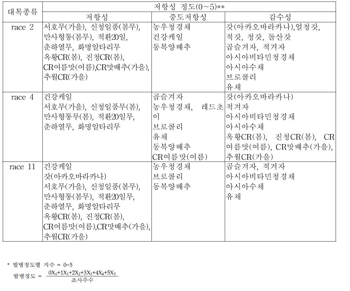 배추과 작물에 대한 뿌리혹병 레이스 균주별 저항성 검정