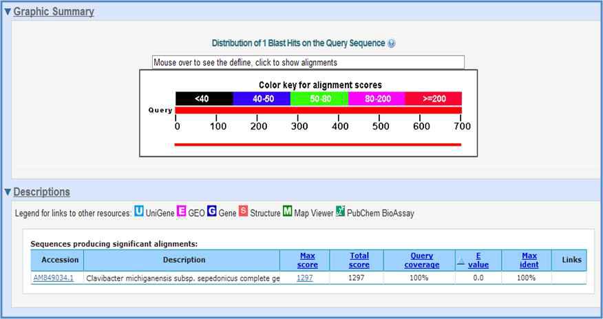 BLAST 프로그램을 이용한 Clavibacter michiganensis subsp. michiganensis와 C. michiganensis subsp. sepedonicus의 특이서열 분석 결과