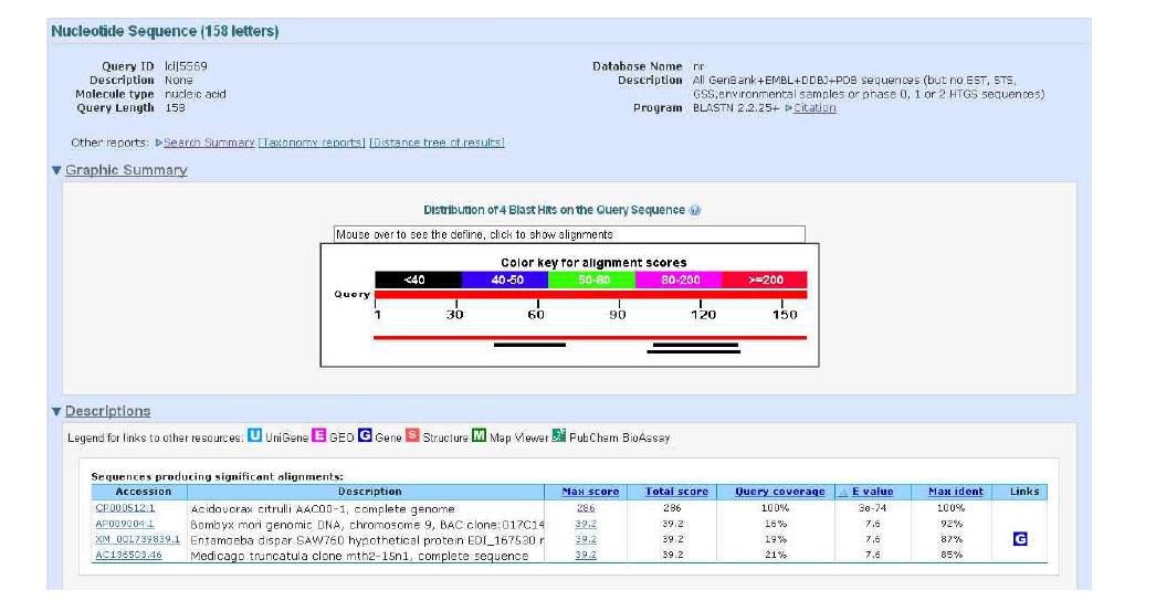 The results of BLASTN search with an YD repeat protein gene from Acidovorax avenae subsp. citrulli