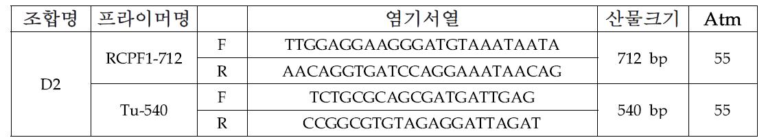 배추과 주요 바이러스 2종에 대한 간편 유전자 동시진단 (VC/RT-PCR)을 위해 선발된 프라이머 조합