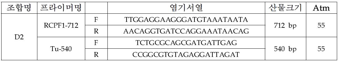 배추과 주요 바이러스 2종에 대한 간편 유전자 동시진단 (VC/RT-PCR)을 위해 선발된 프라이머 조합