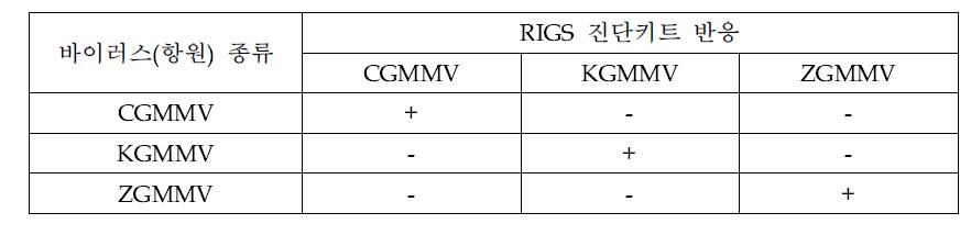 2009년 박과작물에서 종자 전염되는 3종 Tobamovirus-RIGS 특이성 반응