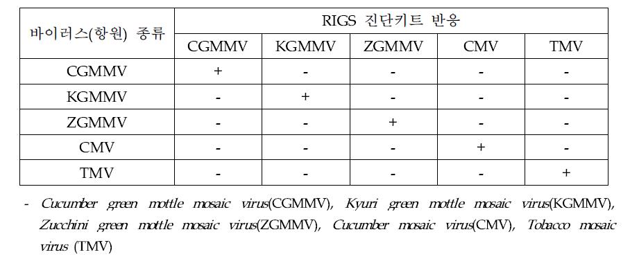 2011년 TMV 및 4종 바이러스에 대한 급속금나노 현장진단키트 RIGS 특이성 반 응