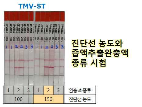 제작된 TMV-RIGS 진단 키트는 2번 즙액추출완충액에서 진단효율이 매우 높음