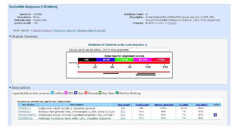 The results of BLASTN search with an YD repeat protein gene from Acidovorax avenae subsp. citrulli