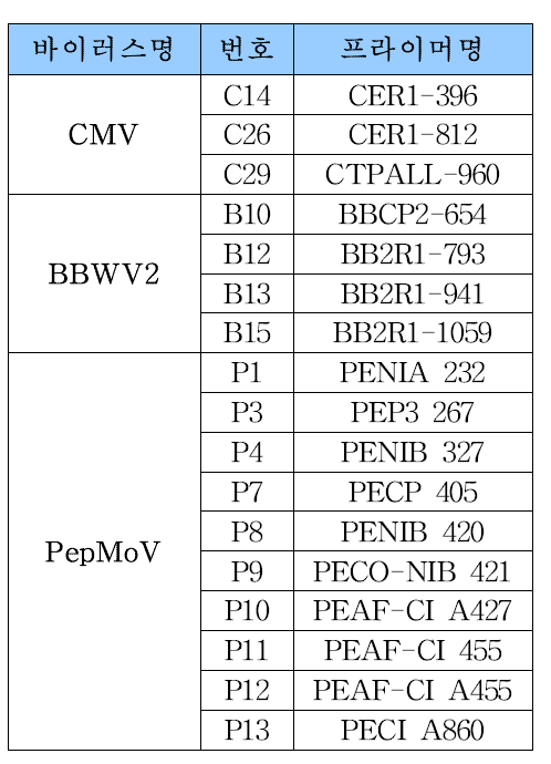 VC/RT-PCR 방법으로 선발된 3종 바이러스의 진단 특이 프라이머