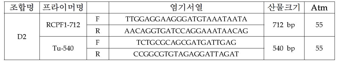 배추과 주요 바이러스 2종에 대한 간편 유전자 동시진단 (VC/RT-PCR)을 위해 선발된 프라이머 조합