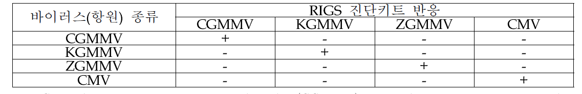 CMV 및 박과작물에서 종자 전염되는 3종 Tobamovirus-RIGS 특이성 반응