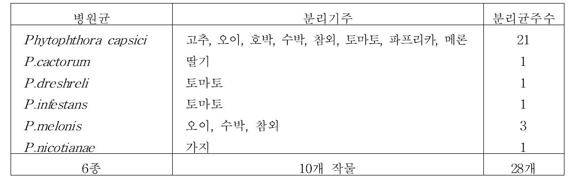 Phytophthora 屬 역병균 진단용 균주수집