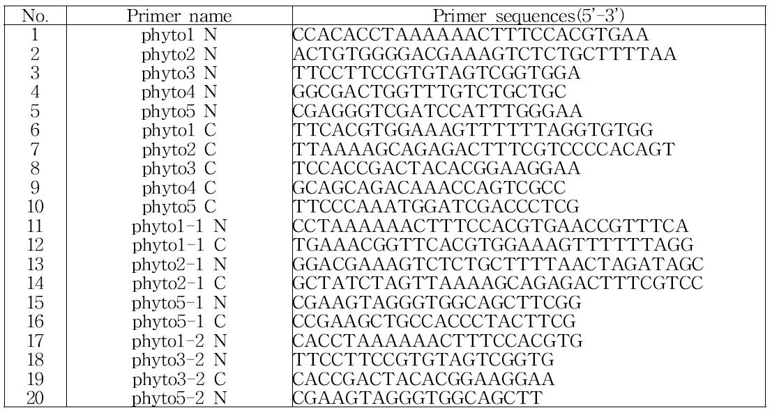과채류 역병균 진단용 특이 프라이머 조합