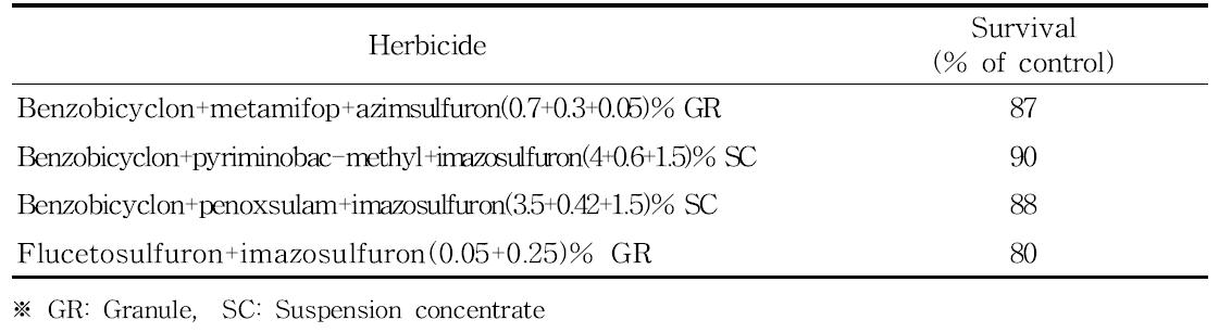 온실조건에서 ACCase 및 ALS 저해 약제들이 혼합된 제초제 처리에 대한 강피 3.5엽기의 생존율